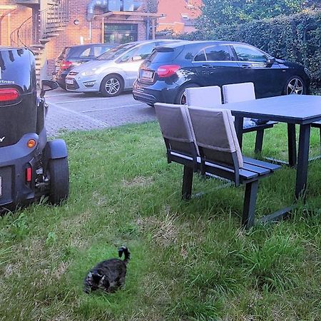 Logeerkamer Xxl 25 M2 Zemst Exterior photo